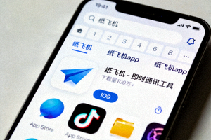 iPhone屏幕截图展示在App Store中搜索纸飞机应用的过程