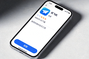 iPhone屏幕截图展示纸飞机应用详情页和获取按钮
