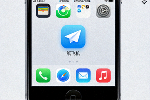 iPhone主屏幕截图展示已安装的纸飞机应用图标
